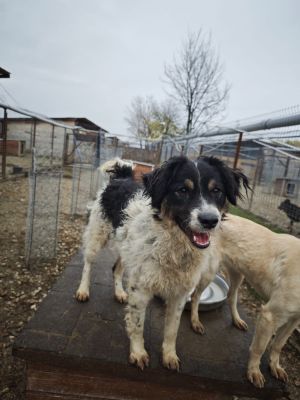 WhatsApp Bild 2025 11 20 um 18.23.05 9d88eae7