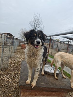 WhatsApp Bild 2025 11 20 um 18.23.06 905dc841