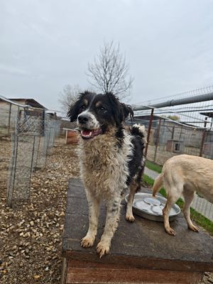 WhatsApp Bild 2025 11 20 um 18.23.06 aba1f34d