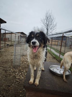 WhatsApp Bild 2025 11 20 um 18.23.06 b8ef4edd