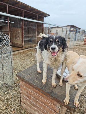 WhatsApp Bild 2025 11 20 um 18.23.07 c4289d99