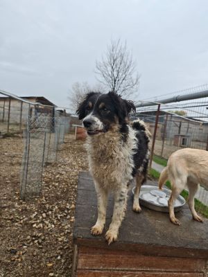 WhatsApp Bild 2025 11 20 um 18.23.07 e9e41533