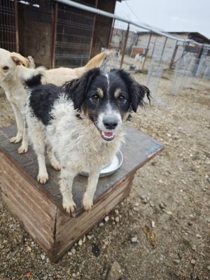 WhatsApp Bild 2025 11 20 um 18.23.08 51bd6f0e