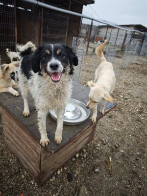 WhatsApp Bild 2025 11 20 um 18.23.08 5d3f9001