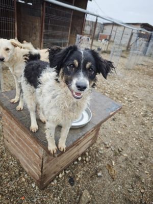 WhatsApp Bild 2025 11 20 um 18.23.08 ea57463f