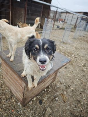 WhatsApp Bild 2025 11 20 um 18.23.09