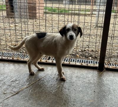 WhatsApp Bild 2025 11 20 um 18.40.51 a9ab8fea