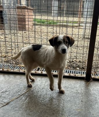 WhatsApp Bild 2025 11 20 um 18.40.51 ce6d9a0d