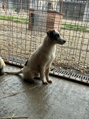 WhatsApp Bild 2025 11 20 um 18.40.52 0d83a1b6