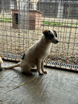 WhatsApp Bild 2025 11 20 um 18.40.52 9a323fa4