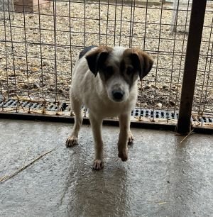 WhatsApp Bild 2025 11 20 um 18.40.52 fc4425c5