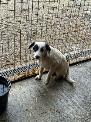 WhatsApp Bild 2025 11 20 um 18.41.55 6e54413f