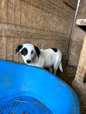 WhatsApp Bild 2025 11 20 um 18.41.56 0b6efb8b