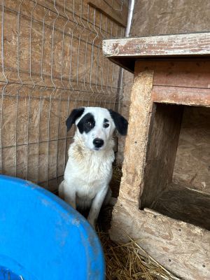 WhatsApp Bild 2025 11 20 um 18.41.56 8323155a