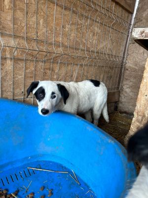 WhatsApp Bild 2025 11 20 um 18.41.56 9623ec7c