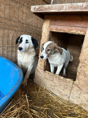 WhatsApp Bild 2025 11 20 um 18.41.57 254ea44e