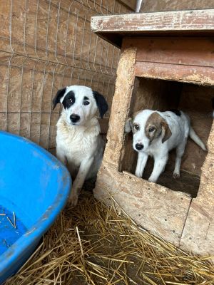 WhatsApp Bild 2025 11 20 um 18.41.57 5032b80a