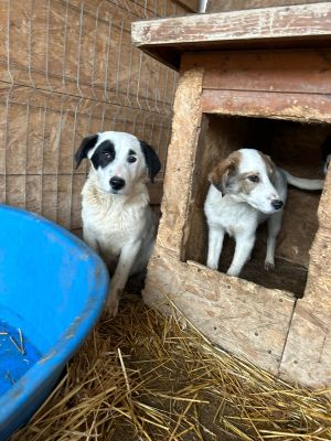 WhatsApp Bild 2025 11 20 um 18.41.57 9c5778b3