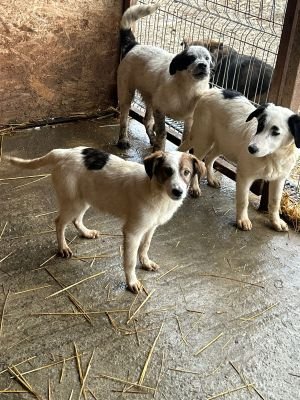 WhatsApp Bild 2025 11 20 um 18.45.13 55eeba78