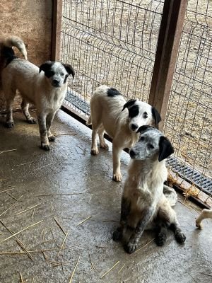 WhatsApp Bild 2025 11 20 um 18.45.13 cc219619