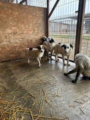 WhatsApp Bild 2025 11 20 um 18.45.13 e9f0129b