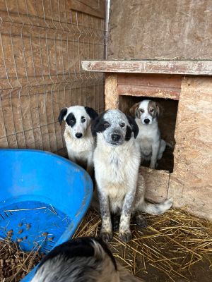 WhatsApp Bild 2025 11 20 um 18.45.14 2cb22d54