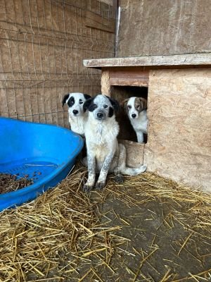 WhatsApp Bild 2025 11 20 um 18.45.14 37d41c21