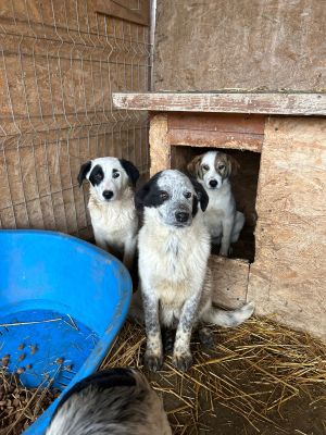 WhatsApp Bild 2025 11 20 um 18.45.14 479733de