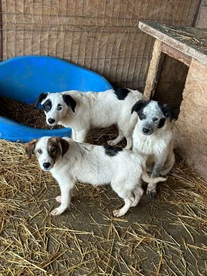 WhatsApp Bild 2025 11 20 um 18.45.15 f27f126e