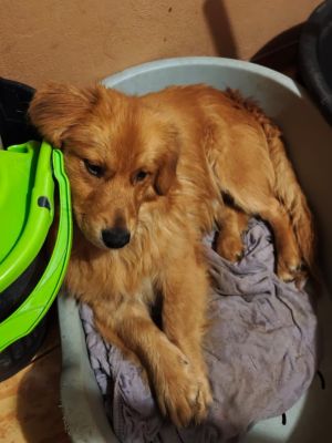 WhatsApp Bild 2025 11 20 um 18.50.38 86909c7f