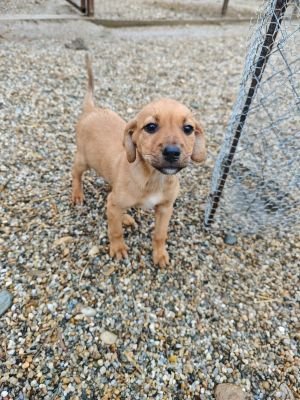 WhatsApp Bild 2025 11 21 um 12.09.04 e1b17511