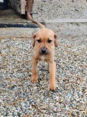 WhatsApp Bild 2025 11 21 um 12.09.05 30ac1521