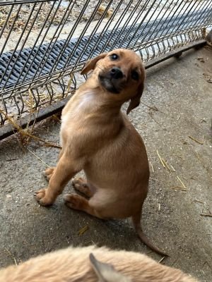 WhatsApp Bild 2025 11 21 um 12.09.19 9eb132f8