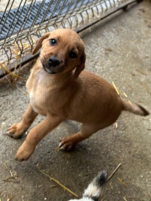 WhatsApp Bild 2025 11 21 um 12.09.20 12fc94a8