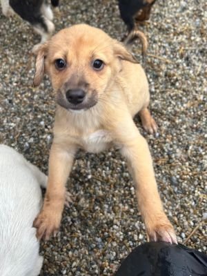 WhatsApp Bild 2025 11 21 um 12.16.20 f5996194