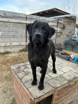 WhatsApp Bild 2025 11 21 um 16.59.38