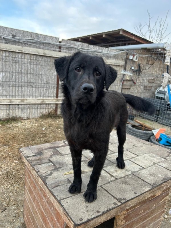 WhatsApp Bild 2025 11 21 um 16.59.38 6d30cb0b