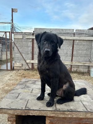 WhatsApp Bild 2025 11 21 um 16.59.39 4348981c