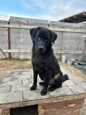 WhatsApp Bild 2025 11 21 um 16.59.39 f2e92997