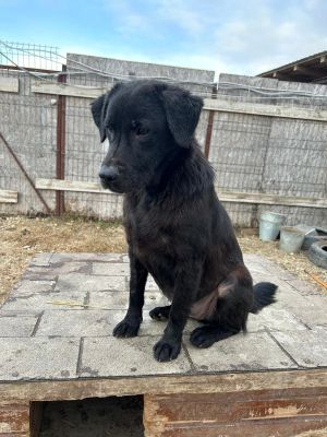 WhatsApp Bild 2025 11 21 um 16.59.40 2688186d