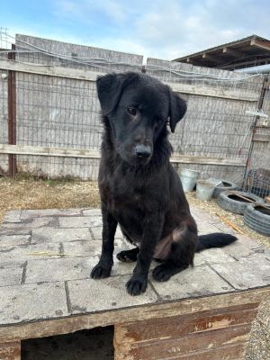 WhatsApp Bild 2025 11 21 um 16.59.40 9d0729d7