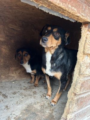 WhatsApp Bild 2025 11 21 um 17.00.53 23f48ef0