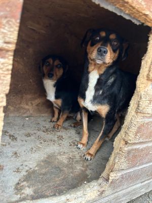 WhatsApp Bild 2025 11 21 um 17.00.53 9deaee69