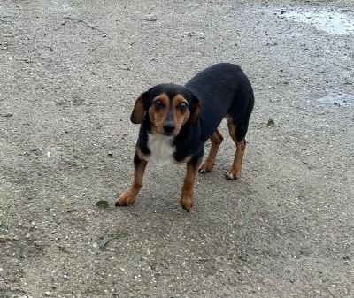 WhatsApp Bild 2025 11 21 um 17.00.53 ab3f2bec