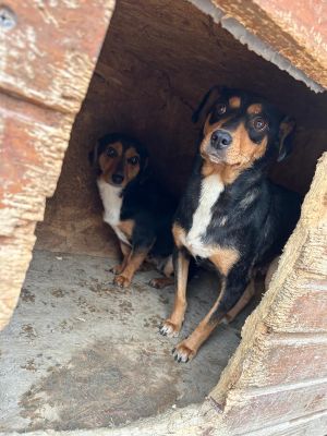 WhatsApp Bild 2025 11 21 um 17.00.53 efec95b4