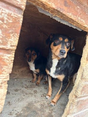 WhatsApp Bild 2025 11 21 um 17.00.54 403166bc