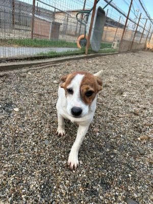 WhatsApp Bild 2025 11 21 um 17.28.13 1fd4ab38