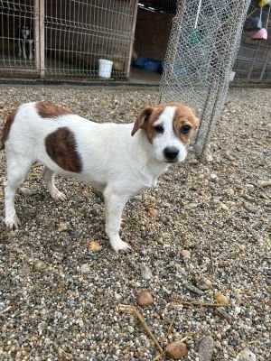 WhatsApp Bild 2025 11 21 um 17.28.14 ca0d8512