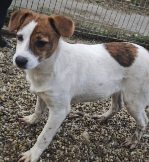 WhatsApp Bild 2025 11 21 um 17.28.27 93d8080d