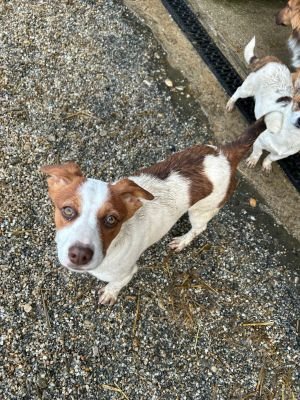 WhatsApp Bild 2025 11 21 um 17.32.05 5408312c